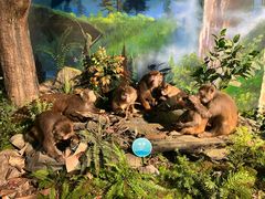 -湖南省地质博物馆