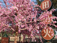 -盈香心动乐园