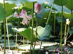 -奥林匹克森林公园南门-停车场