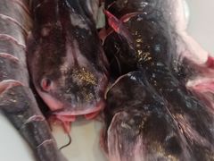 -老刘生态大鱼坊铁锅炖鱼(赛马场店)