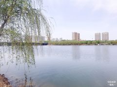 -长白岛森林公园