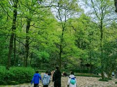 -九曜山