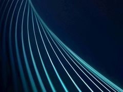 -如意香辣鸡架(总店)