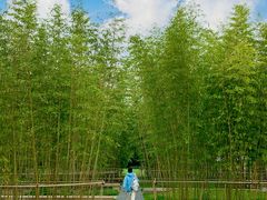 -金沙遗址博物馆