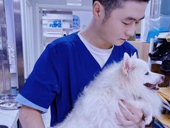 -达爱动物医院·犬猫分区·CT·复杂眼科(远洋山水分院)