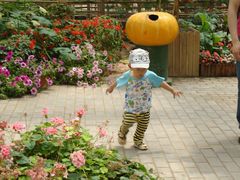 垃圾桶-观光南瓜园
