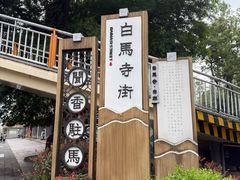 -邓氏兔头