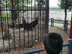 -长白岛森林公园