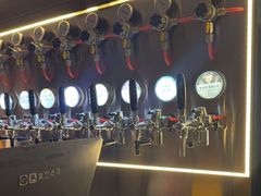 -优布劳精酿啤酒鲜扎闪送·(张江店)