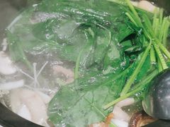 -春润大地海南椰子鸡(沙井京基百纳广场店)