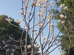 -金山公园
