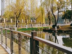-后襄河公园