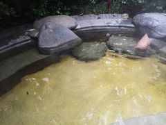 -青城道汤池