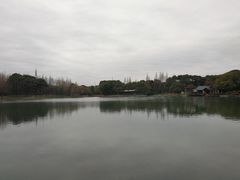 -新洲生态园