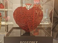 -ROSEONLY诺誓(广州K11店)