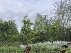 -溱湖国家湿地公园