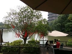-听松楼·花园酒店·自助餐厅(红梅公园店)