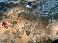 -自贡恐龙博物馆