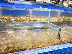 水产区-圣罗巴海鲜自助(黑金店)
