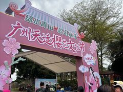 -天适樱花悠乐园