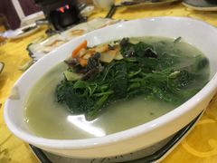 -杏坛公平靓正(伦教滨江店)