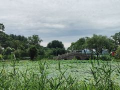 -渤公岛生态公园