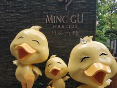-明谷行馆·温泉