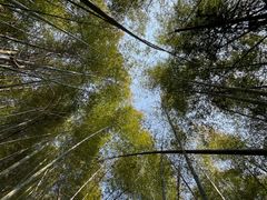 -东钱湖旅游度假区