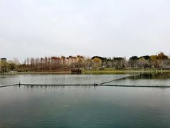 -尚贤河湿地