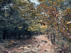 -虞山风景区