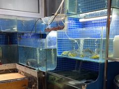 水产区-开小灶(公望街店)