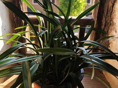 -云水谣景区-土楼之光文化园