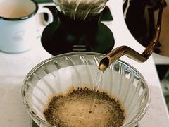 -SAFARI COFFEE