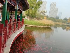 -西海子公园