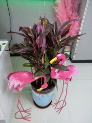 -E.beauty驻颜·痘敏肌调理中心