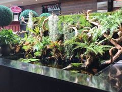 -希望齿科(河西店)