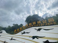 -西双版纳原始森林公园