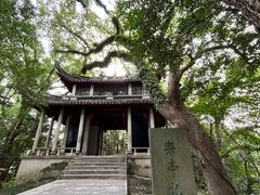 -溪口-滕头旅游景区