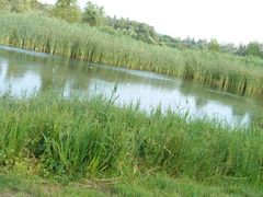 -大兴滨河森林公园