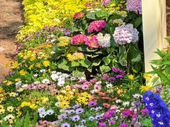 -人民公园(罗湖区)