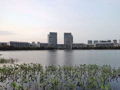 -尚贤河湿地