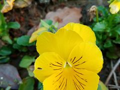 -艾溪湖湿地公园