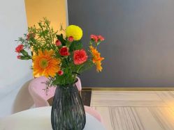 -苑苑vbeauty科技美容SPA