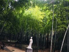 -敬亭山风景名胜区