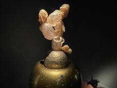 -奇胡利玻璃艺术园