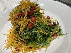 巧拌豆苗-四季民福烤鸭店(王府井灯市口店)