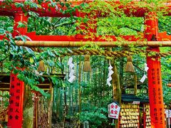 -野宫神社
