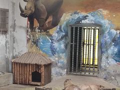 -石家庄市动物园