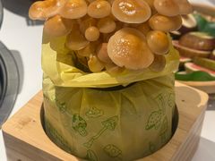 -烹然四季椰子鸡火锅(姚家园万象汇店)