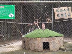 -兰陵国家农业公园